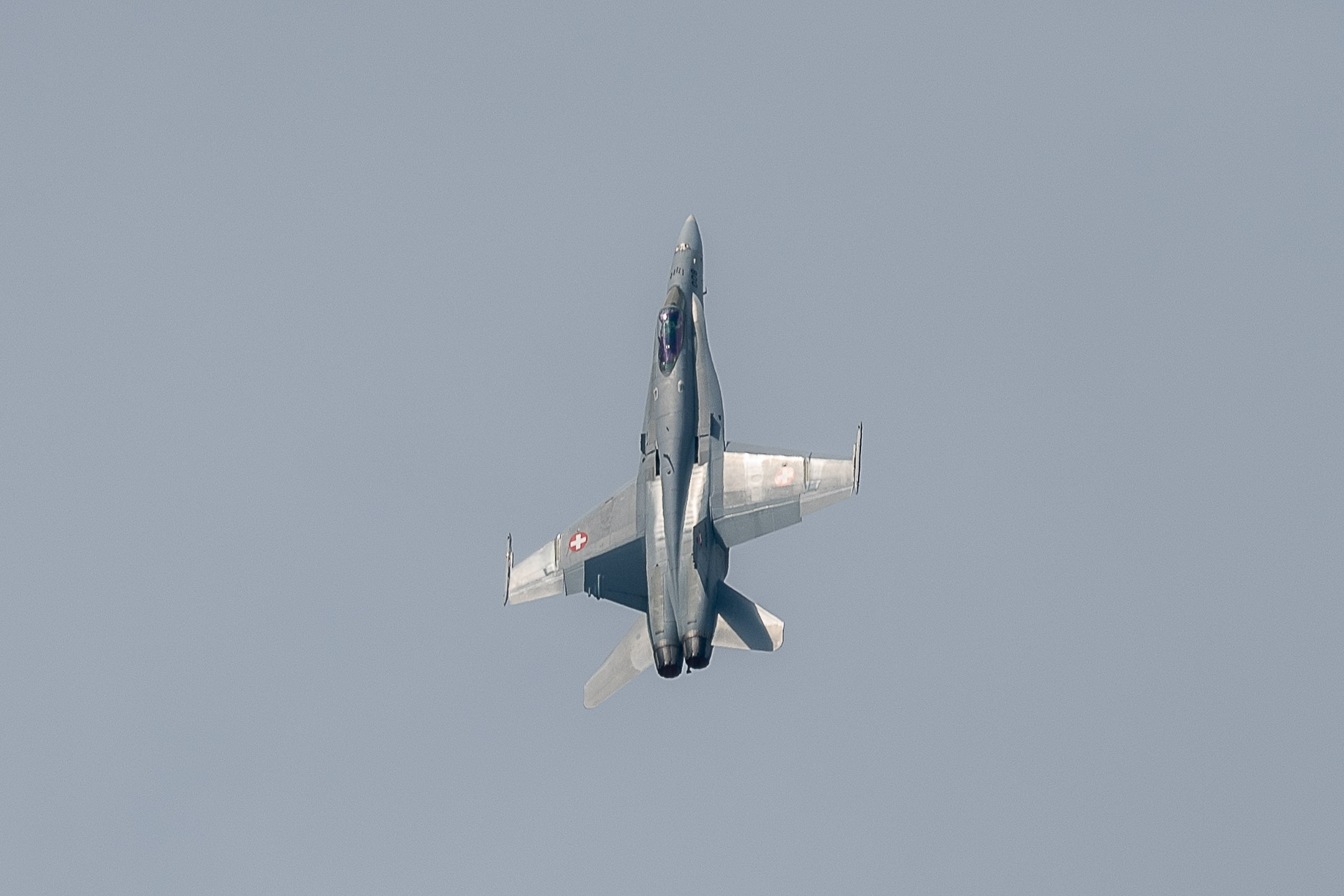 Appareil: NIKON Z 8 f/4 à 1/1000sec, ISO-64 Focale 300mm
