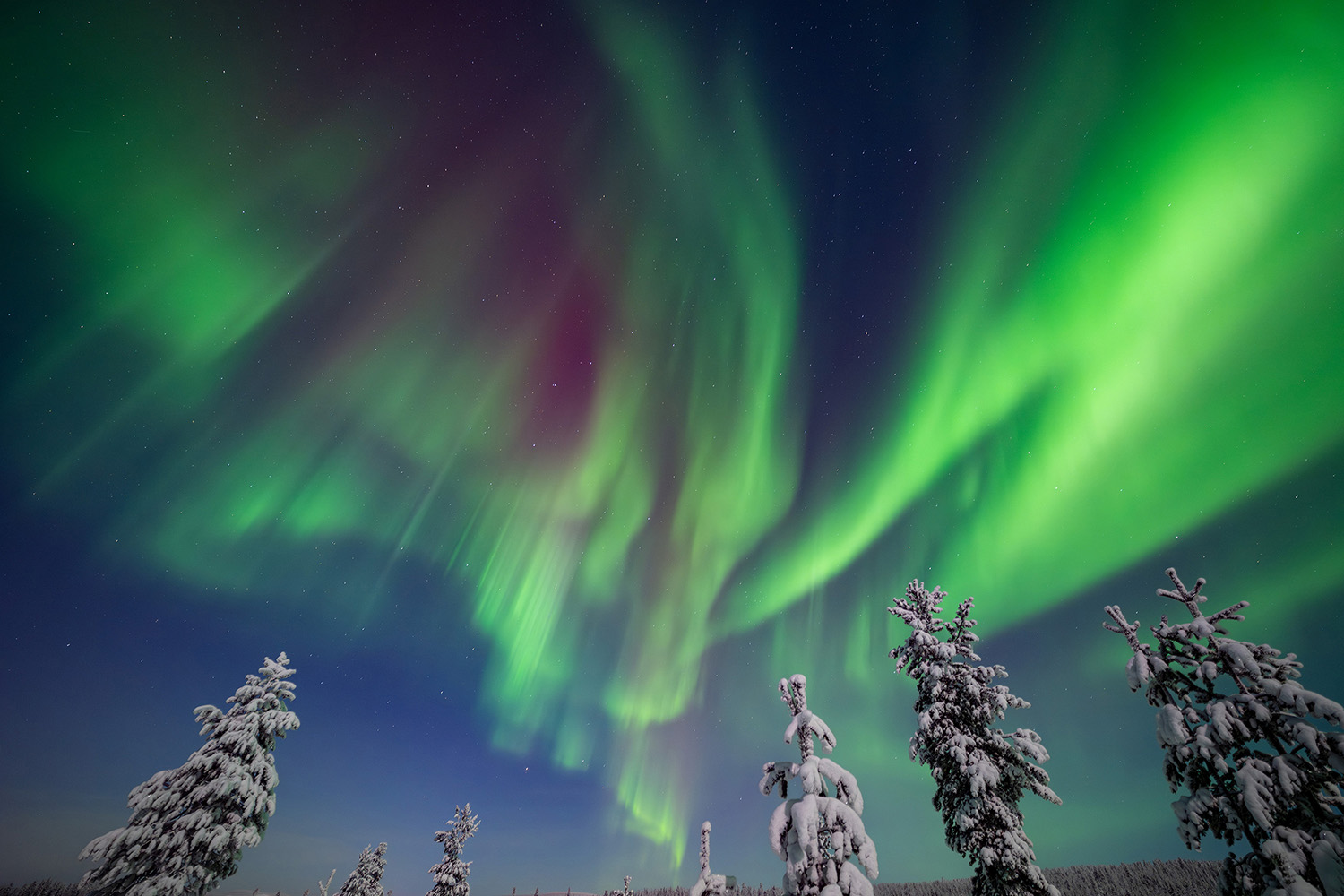 NIKON Z 8 | 14mm | f/2.8 | 4sec | ISO-640